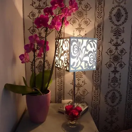 Les Belles De Mai